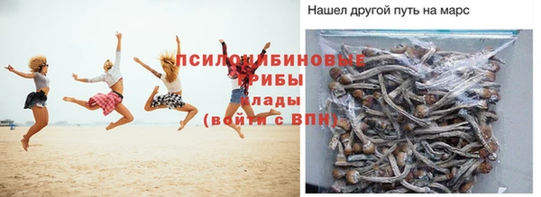 сатива Алексеевка