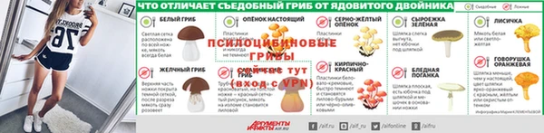 эйфоретик Алзамай