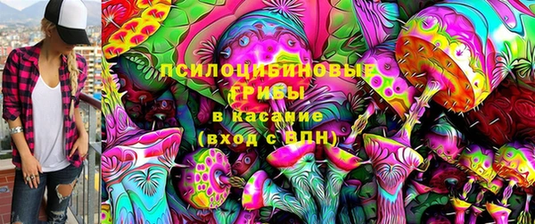 эйфоретик Алзамай