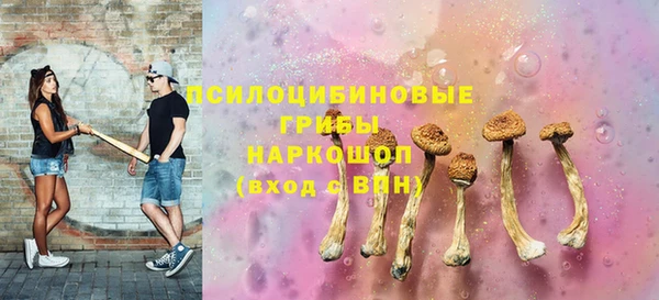 эйфоретик Алзамай