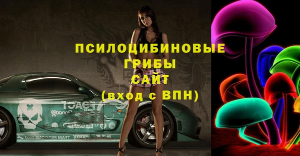 эйфоретик Алзамай