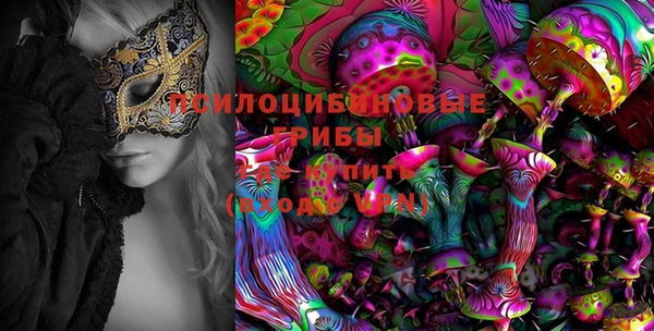 сатива Алексеевка